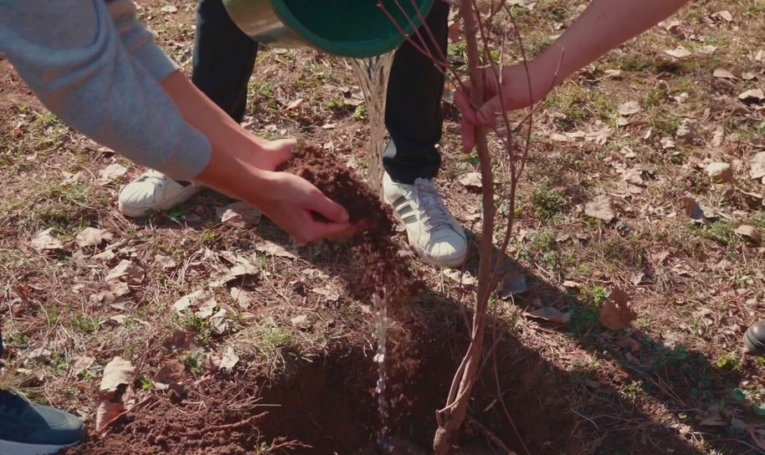 Наурыз говорит: обновляйся. Мы ответили делом.