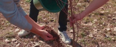 Наурыз говорит: обновляйся. Мы ответили делом.